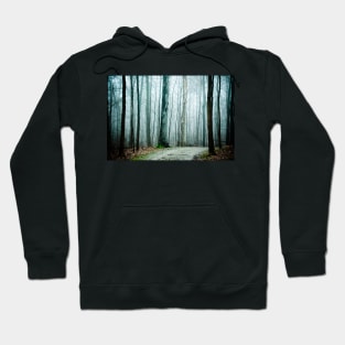 Pathway Into Fog Hoodie